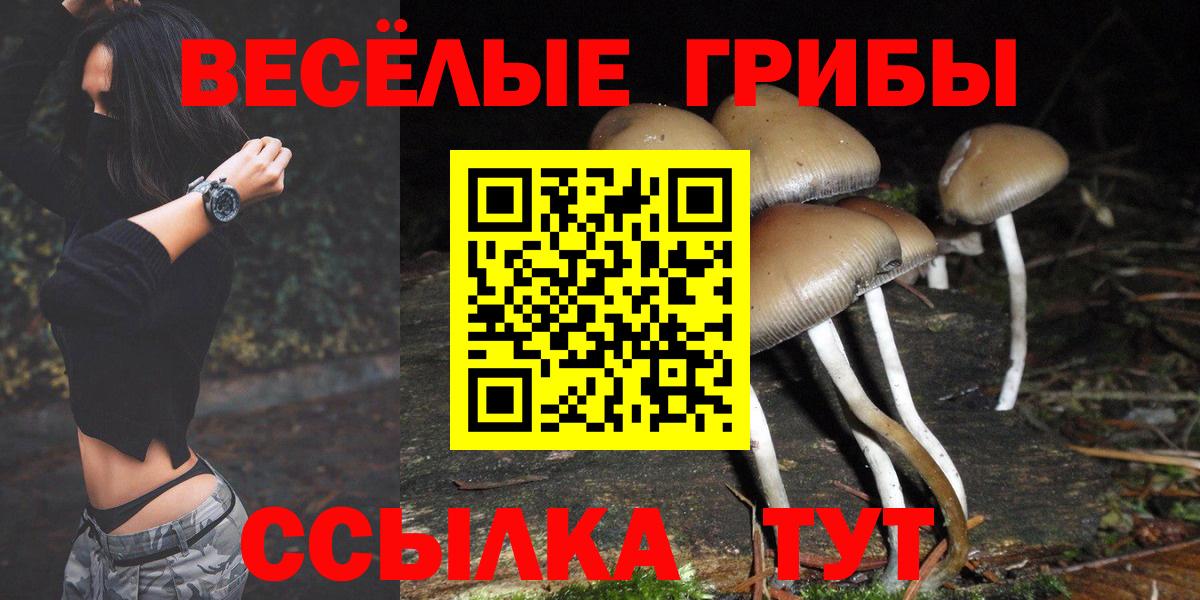 Карпинск  Галлюциногенные грибы прущие грибы  Вход с VPN 